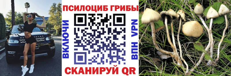 Псилоцибиновые грибы Magic Shrooms  маркетплейс как зайти  Балабаново 