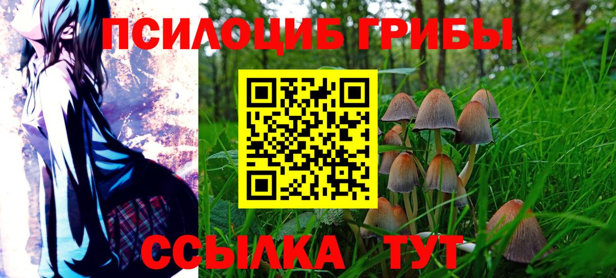 Псилоцибиновые грибы мицелий Балабаново