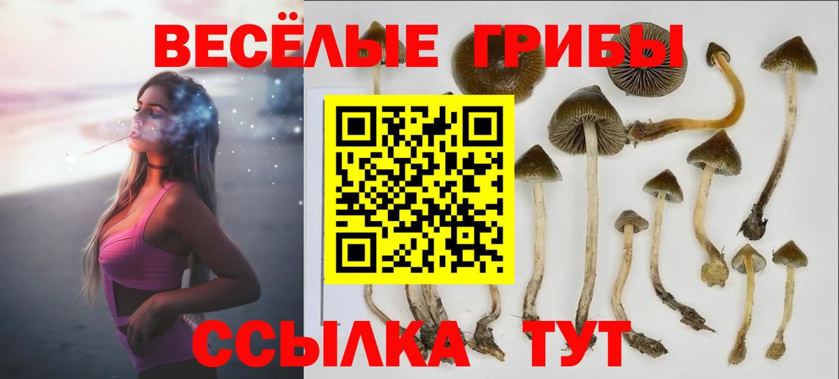 Псилоцибиновые грибы Magic Shrooms  Балабаново 