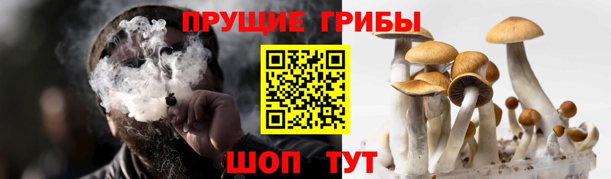 Галлюциногенные грибы прущие грибы  Вход с VPN  Балабаново 